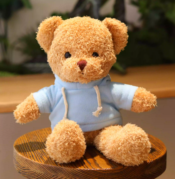 Teddy Bear with Blue Sweater