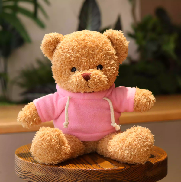 Teddy Bear with Pink Sweater